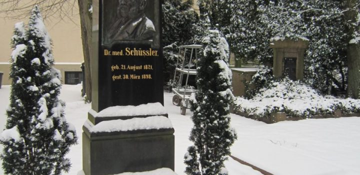 Bild: Grabmal Dr. W. H. Schüßlers auf dem Gertrudenfriedhof in Oldenburg (Oldb.) von Corradox - Eigenes Werk [CC BY-SA 3.0], via Wikimedia Commons