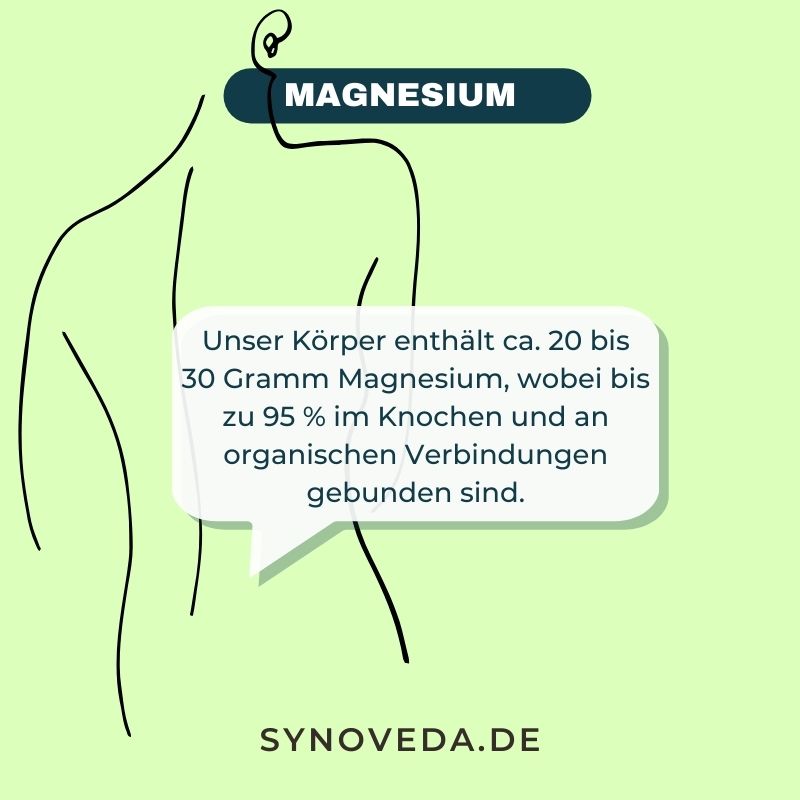 Magnesium-Infos